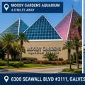 6300 Seawall Boulevard - Photo 20