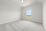 4647 Hydra Lane - Photo 19