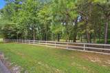 7393 Teaswood Drive - Photo 1