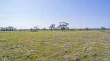 28 Acres Shaws Bend Road - Photo 10