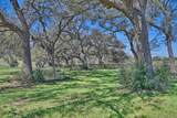 1800 Fm 390 - Photo 6