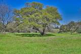 1800 Fm 390 - Photo 7