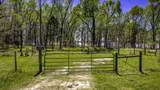 2405 Barretts Landing Road - Photo 3