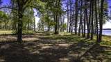 2405 Barretts Landing Road - Photo 9