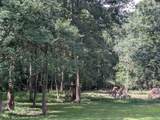 28235 Lazy Rock Drive - Photo 30