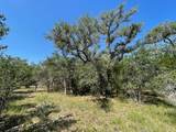 Lot 4 County Road 14 - Photo 8