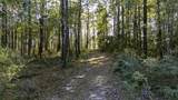 0313 King Ranch Road South - Photo 20