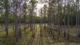 0313 King Ranch Road South - Photo 6