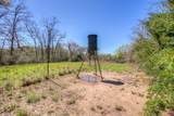 TBD County Road 482 - Photo 8
