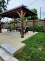 15208 Junebug Drive - Photo 4