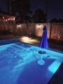 15208 Junebug Drive - Photo 6