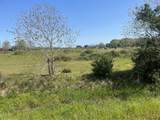 TBD County Rd 95/Mustang Bayou Road - Photo 4