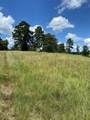 11109 County Road 207 - Photo 7