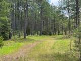 15780 Wooded Trail Way - Photo 17