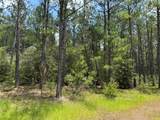 15780 Wooded Trail Way - Photo 6