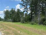 15780 Wooded Trail Way - Photo 7