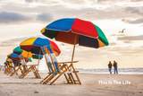 201 Jean Lafitte Cove - Photo 2