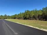 16222 Ridge Oak Road - Photo 10
