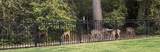 8518 Tombron Grove Road - Photo 42