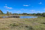 75 ACRES Spring Branch Road - Photo 1