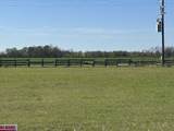 0 Lot 24 Fox Hollow Road - Photo 1