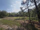 2.58 Acres Oakdale Drive - Photo 5