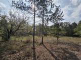 2.58 Acres Oakdale Drive - Photo 8