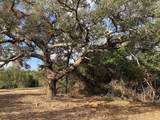 000 Loose Cow Road - Photo 5