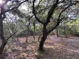 000 Loose Cow Road - Photo 6