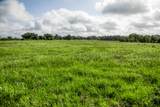 Tract 12 Nassau Road - Photo 13