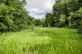 Tract 12 Nassau Road - Photo 15