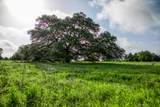 Tract 12 Nassau Road - Photo 7