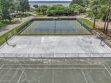 13962 Dolphin Drive - Photo 45