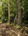 1224 Plum Pudding Road - Photo 4