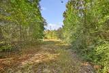 1224 Plum Pudding Road - Photo 6