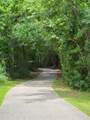 43 Lace Arbor Drive - Photo 28