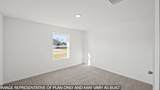 2000 Luminous Lane - Photo 16
