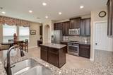 23411 Farfalla Lane - Photo 14