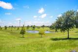23411 Farfalla Lane - Photo 44