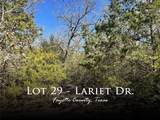 0 Lariet Drive - Photo 1