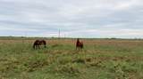1249 Country Road 141 - Photo 11