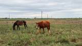 1249 Country Road 141 - Photo 12