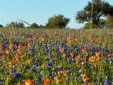 9058 Sam Houston Road - Photo 8