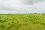 52.5 Acres Bernardo Road - Photo 8