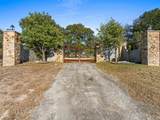 1719 Sisterdale Road - Photo 2