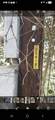 19265 Alford Road - Photo 6