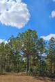 16029 Ridge Oak Road - Photo 3
