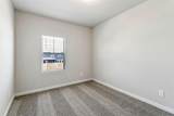 558 Avisa Drive - Photo 24