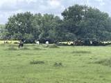 0 Cr-392 - Photo 7