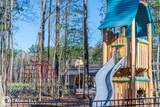 22816 Ella Falls Court - Photo 12
